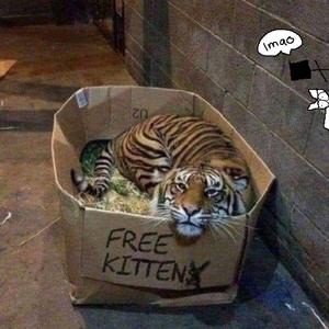 黄瓜视频♥成人app♥i
