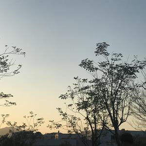 黄瓜视频♥成人app♥i
