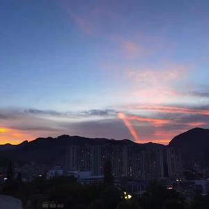 黄瓜视频♥成人app♥i
