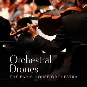 黄瓜视频♥成人app♥i
